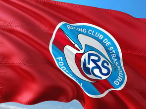 澳客下载-帕尔梅拉斯调整进攻阵容,应对强力防守